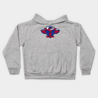 Redbirds Team Logo Kids Hoodie